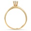 The Kirsti Ring, smallside view