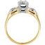 The Maia Ring, smallside view