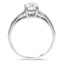 The Calyse Ring, smallside view