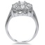 The Pomona Ring, smallside view