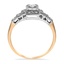The Dallin Ring, smallside view