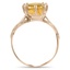 The Rivera Ring, smallside view