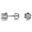 The Lee Earrings