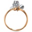 The Reva Ring, smallside view