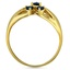 The Arlen Ring, smallside view