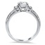 The Hariette Ring, smallside view