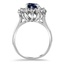 The Fairview Ring, smallside view