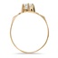 The Woodstone Ring, smallside view