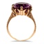 The Thames Ring, smallside view
