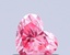 0.55 Ct. Fancy Vivid Pink Heart Lab Grown Diamond