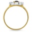 The Ashleigh Ring, smallside view