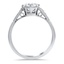 The Omaha Ring, smallside view