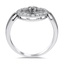 The Derrylin Ring, smallside view