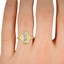 The Tenley Ring, smalltop view on a hand