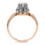 The Tanessa Ring, smallside view