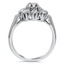 The Rafinha Ring, smallside view