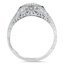 The Maisie Ring, smallside view