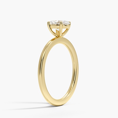 Flush Fit Solitaire Ring- Brilliant Earth