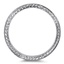 The Marcade Ring, smallside view