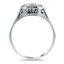 The Dawes Ring, smallside view