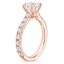 14K Rose Gold Anthology Three-Quarter Coverage Diamond Ring, smallside view