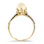 The Vanni Ring, smallside view