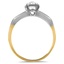 The Bessie Ring, smallside view