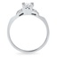 The Pasha Ring, smallside view