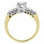 The Joelle Ring, smallside view