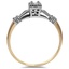 The Leni Ring, smallside view