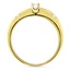 The Somers Ring, smallside view