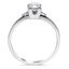 The Brial Ring, smallside view