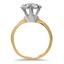 The Simplot Ring, smallside view