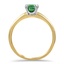 The Pierette Ring, smallside view