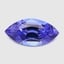 11.8x5.9mm  Bi-Color  Marquise   Tanzanite