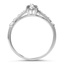 The Roanna Ring, smallside view