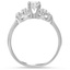 The Erena Ring, smallside view