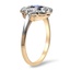 The Sky Ring, smalltop view on a hand