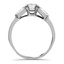 The Cantwell Ring, smallside view