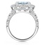 The Cirrus Ring, smallside view