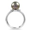 The Carino Ring, smallside view