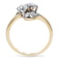 The Emilia Ring, smallside view