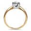 The Alia Ring, smallside view