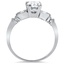 The Sigal Ring, smallside view