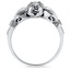The Ophir Ring, smallside view
