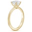18K Yellow Gold Satin Petite Elodie Solitaire Ring, smallside view