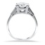 The Dariela Ring, smallside view