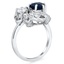 The Echavaria Ring, smallside view