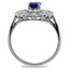 The Maxine Ring, smallside view