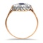 The Alene Ring, smallside view